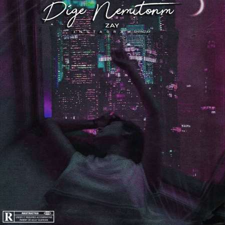 Shayan Zay – Dige Nemitonam